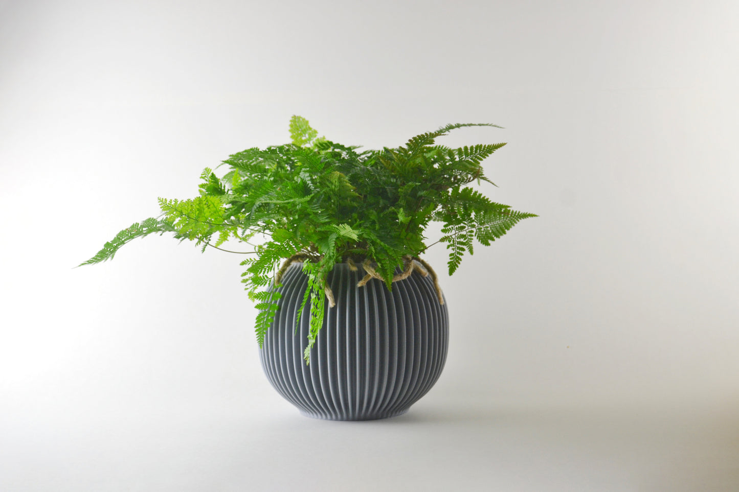 orb pot