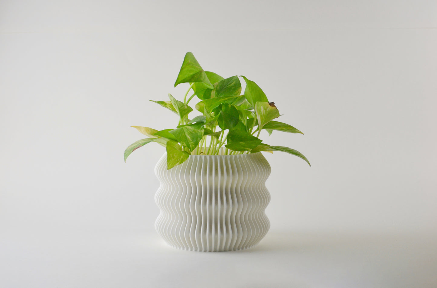 wave pot