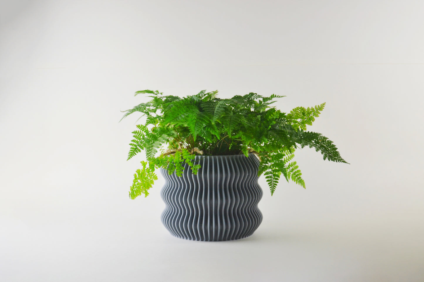 wave pot